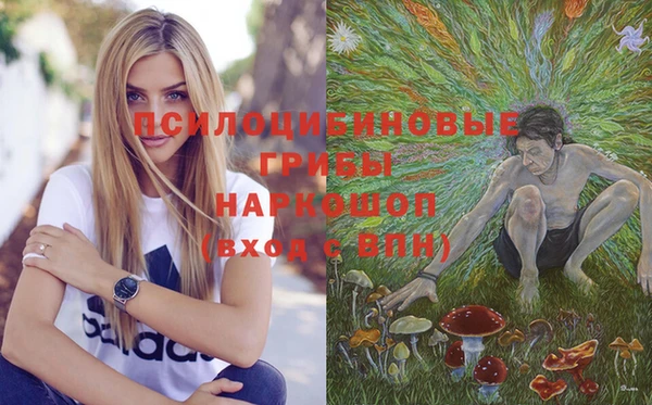 синтетический гашиш Абинск