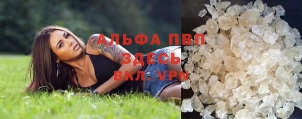 трава Абаза